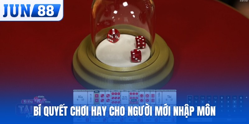 Bí quyết chơi hay cho người mới nhập môn