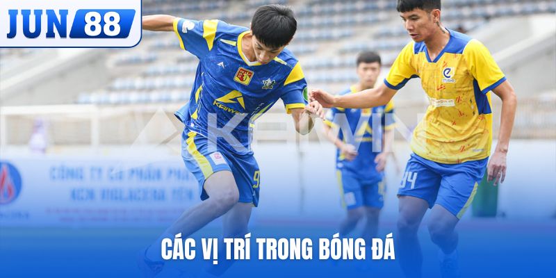các vị trí trong bóng đá