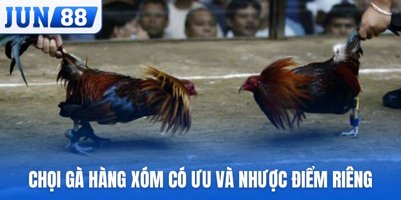 Chọi gà hàng xóm có ưu và nhược điểm riêng