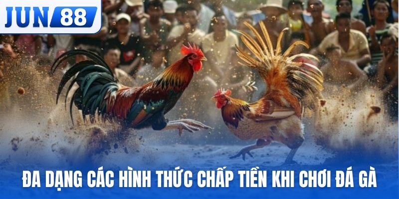 Đa dạng các hình thức chấp tiền khi chơi đá gà trực tuyến