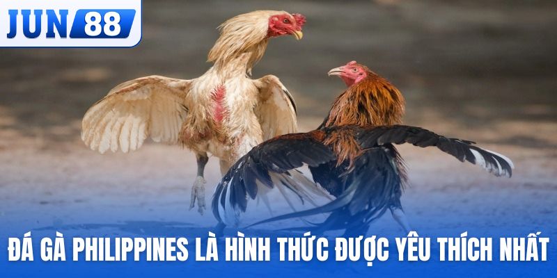 Đá gà Philippines là hình thức giải trí được yêu thích nhất