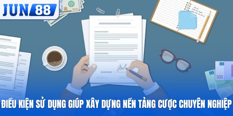 Điều kiện sử dụng giúp xây dựng nền tảng cược chuyên nghiệp