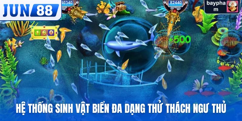Hệ thống sinh vật biển đa dạng thử thách ngư thủ