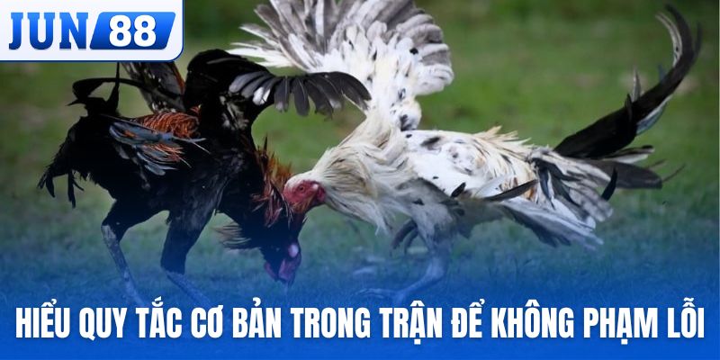 Hiểu quy tắc cơ bản trong trận đấu để không phạm lỗi