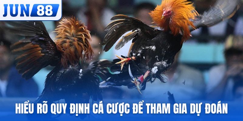 Hiểu rõ quy định cá cược để tham gia dự đoán nhanh chóng