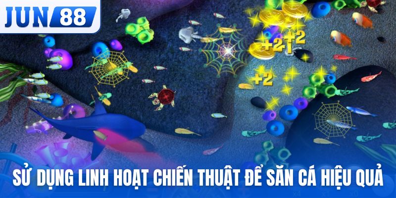 Sử dụng linh hoạt chiến thuật để săn bắt cá hiệu quả
