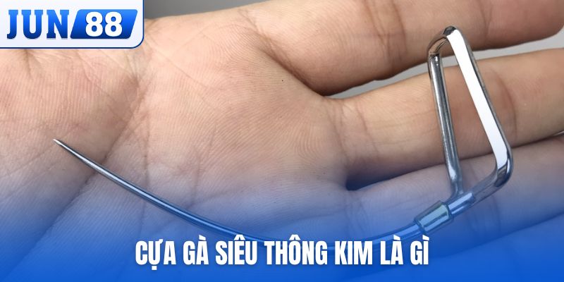 Cựa gà siêu thông kim là gì, có đặc điểm nào nổi bật?