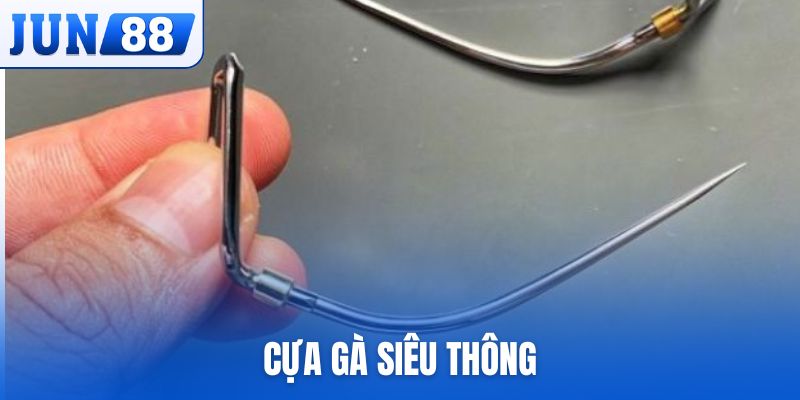 cựa gà siêu thông