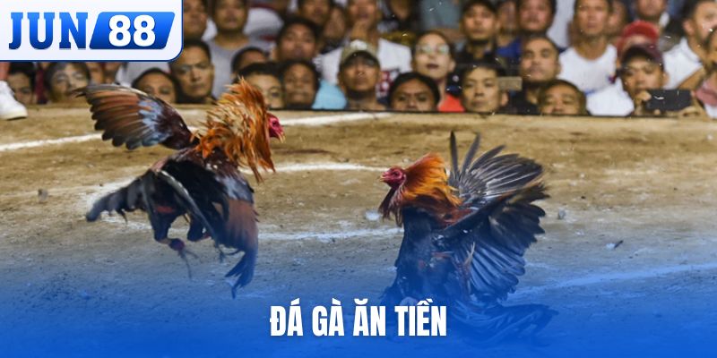 đá gà ăn tiền