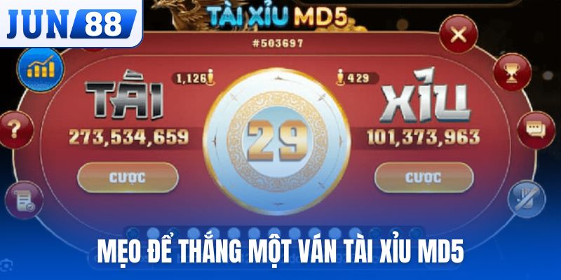 Những mẹo hay để thắng một ván tài xỉu MD5