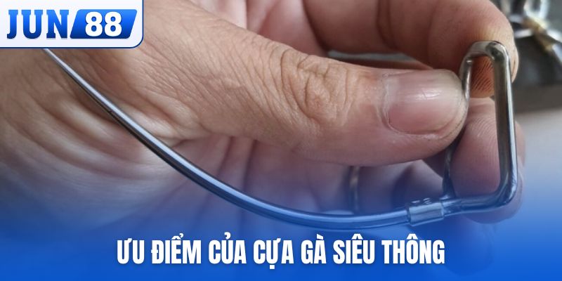 Ưu điểm của cựa gà siêu thông so với những loại cựa thông thường khác