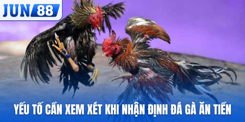 Một vài yếu tố cần xem xét khi nhận định đá gà ăn tiền