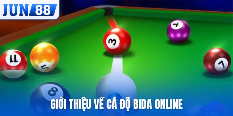 Giới thiệu về cá độ bida online