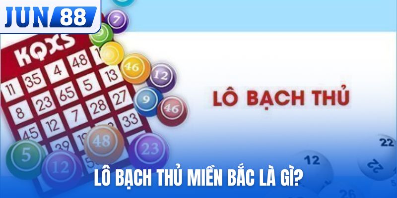 Lô bạch thủ miền Bắc là gì?